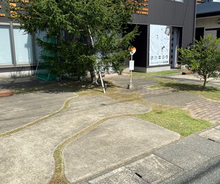 まだまだ伸びますね(*´Д｀)