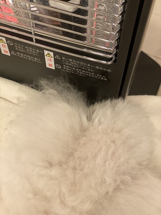 ストーブは暖かい(￣ー￣)