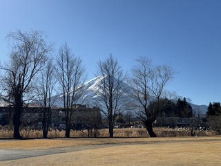 山梨河口湖(´▽｀*)