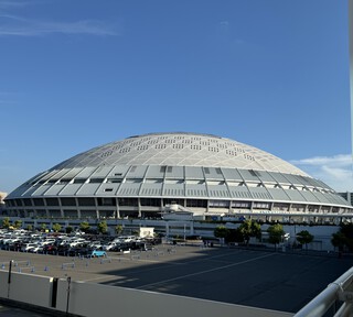 プロ野球は楽しい(´▽｀*)