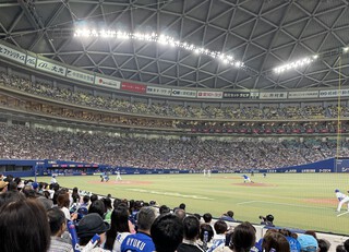プロ野球は楽しい(´▽｀*)