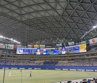 プロ野球は楽しい(´▽｀*)