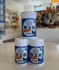 善玉菌のチカラ♪