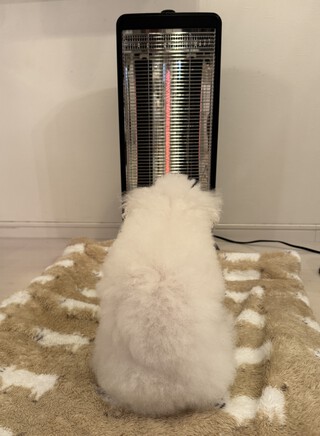 お地蔵さん？