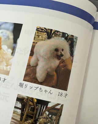祝！長寿(´▽｀*)