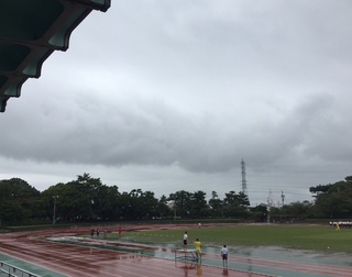 今日こそは・・・