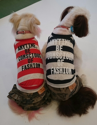 ☆as know as新作☆