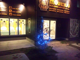 Xmasツリー♪