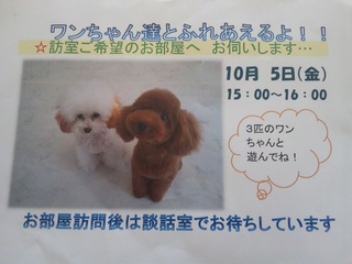 今日はお仕事(^_^)v