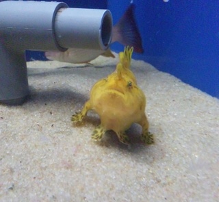 浜名湖　ウオット！