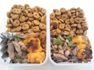 わんこのお弁当♤