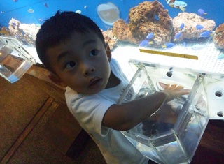 浜名湖　ウオット！