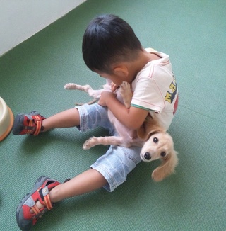 次男君とダックスくん♪