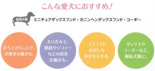 コムペット「ホロノアサポーター」