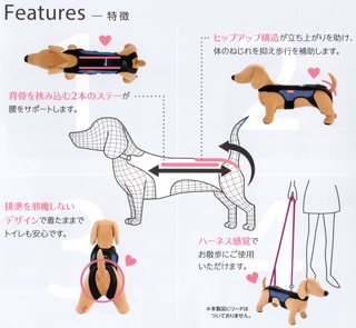 コムペット「ホロノアサポーター」