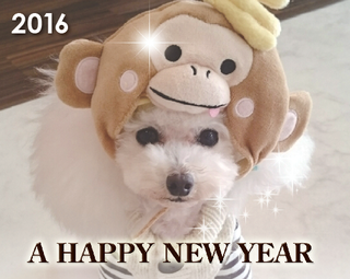 A HAPPY NEW YEAR♪