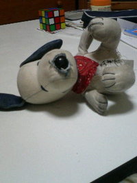 無惨…！ 2010/04/01 19:25:39