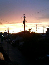 きれいな… 2010/05/07 19:17:19