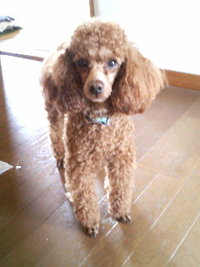 行かないで… 2010/05/29 08:05:51