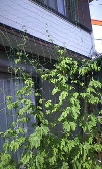 ぐんぐん 2010/06/24 16:14:07