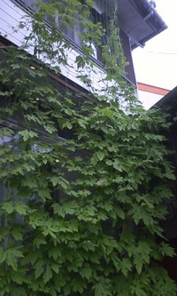 2階まで… 2010/07/12 15:59:09