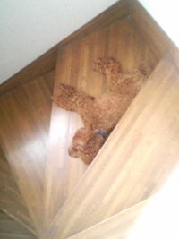 え〜っ！こんなところでぇ〜 2010/07/21 08:29:54