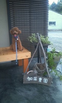 実家にて 2010/08/14 18:15:39