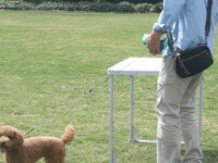わんわん秋祭り！ 2010/10/03 16:00:22