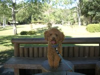 森林公園にて 2010/10/10 15:09:36