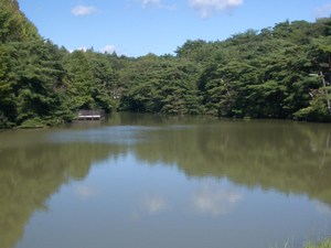 森林公園にて