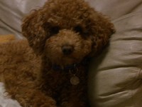 バタバタ 2010/10/20 18:43:14