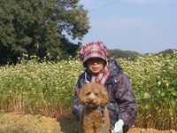 そば畑で 2010/11/14 15:58:47