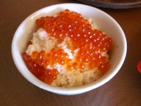 久しぶりの投稿です 2011/01/03 11:01:52