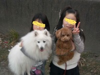 友達のワンコ 2011/02/06 12:51:11