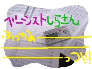 ベーシストしらさん