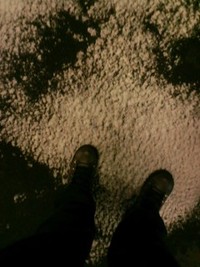 雪！雪！雪！ 2011/01/17 00:14:40
