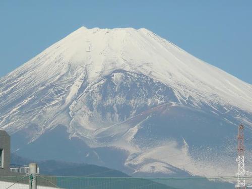 三島北高ソフトボール部