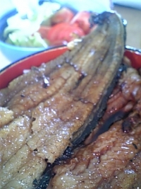 井口うなぎ丼