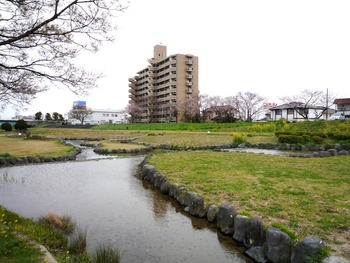 分譲マンション：ナイスパークステイツ上島(浜松市中区)