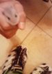 さよなら、子ハム