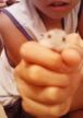 さよなら、子ハム