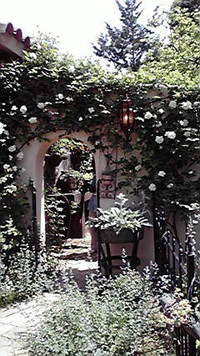 薔薇 2011/05/15 12:07:58
