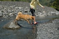 おやまにて　その２　訓練！
