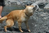 おやまにて　その２　訓練！