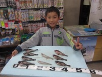メバル：美味しい魚です！！