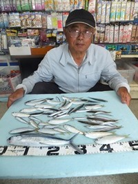 トビウオ：釣れてビックリ！！