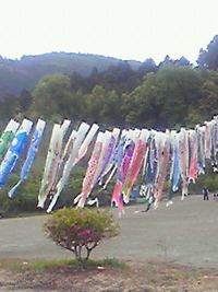 いいとこ広場 2011/05/05 11:02:40