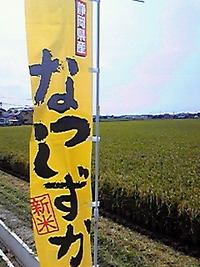 新米「なつしずか」刈取り 2011/08/08 13:14:32