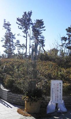 ごあいさつ