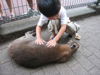 ツイてる一日